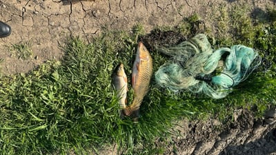 سێ مانگ وەک وادەی قەدەغەی راوە ماسی دیاریکرا