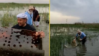 الأهوار تتنفس مجدداً.. شباب ميسان يفتحون مسارات المياه لتسع زوارق السياح