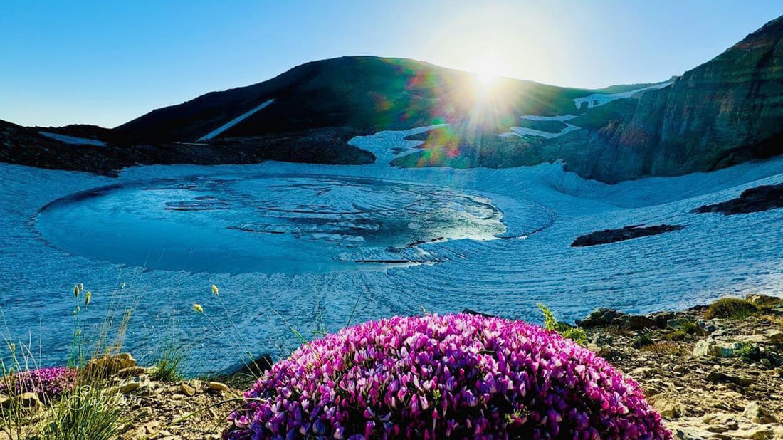 بەم گەرمایە مەگەر هەر ئەم گۆمەی کوردستان دڵ بکاتەوە