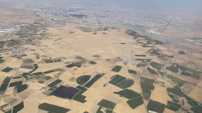 بە فستق و زەیتون هەولێر سەوزپۆش دەکەن