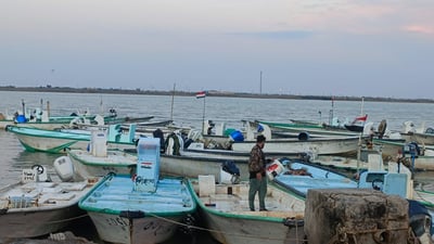 مزاد الفاو: صيد البحارة شحيح بسبب الضباب.. أسعار السمك ليوم الثلاثاء (فيديو)