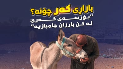 لە هەولێر بازاڕى کەر گەرمە