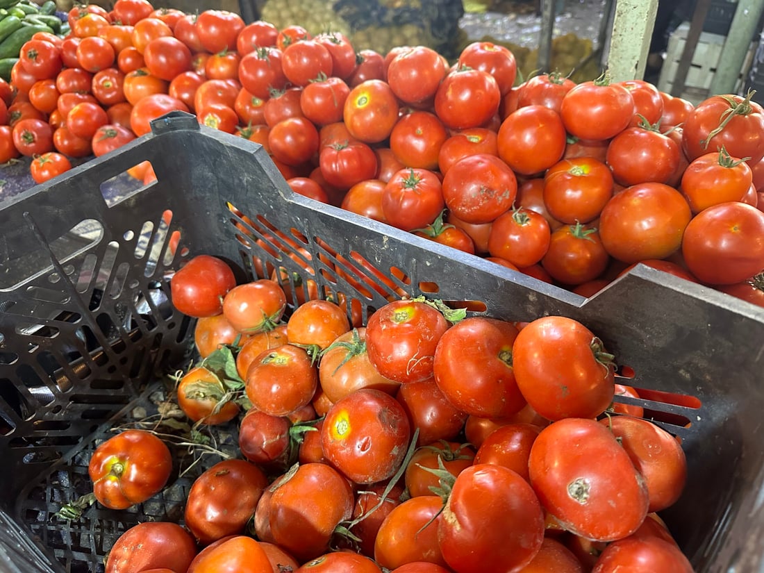 تەماتە لە زاخۆ گران بوو