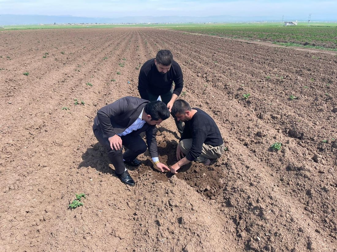 پیاز و په‌تاته‌ چێندراوه‌كه‌ى شێخان زیانیان به‌ركه‌وتووه‌