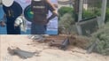 سرقة محولة كهربائية تنتهي باعتقال عصابة بعد شهر من التحريات في الميمونة