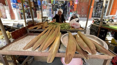 صور: طلع النخيل “فدّغ” في البصرة وملأ السوق.. الغنامي يخطفه الناس من البساتين