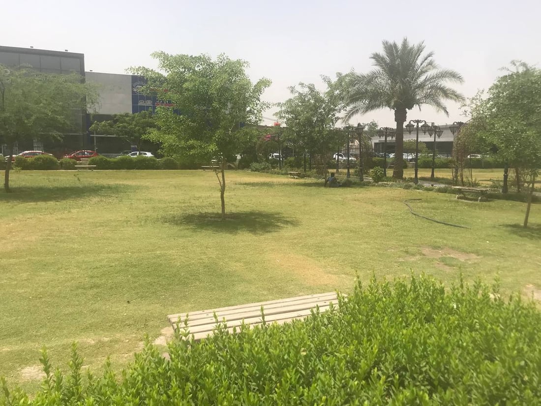 صور تهدئ الأعصاب: أشجار وثيل طبيعي لتزيين متنزهات البياع غربي بغداد