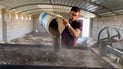 الأنبار لا تحرق سعف النخيل.. طحن وتخمير ثم أفضل سماد صحي (فيديو)
