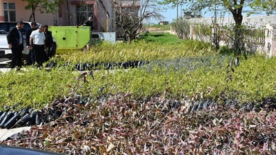 Halabja receives shipment of 30,000 saplings