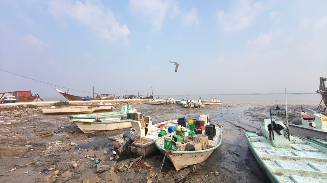 السبيطي والهامور وصلا مرسى النقعة.. قائمة بأسعار اليوم (صور)