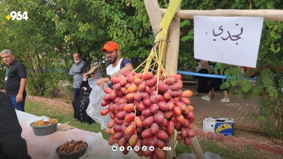 ئایا دەکرێت خورما لە کوردستان بچێندرێت؟