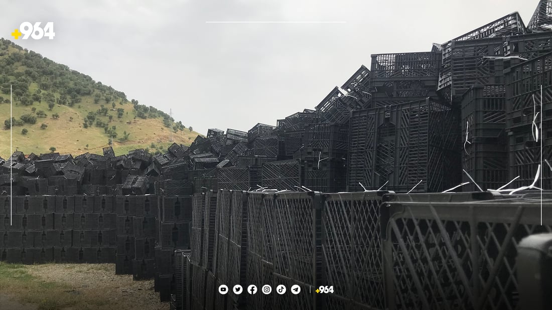 لە پێنجوێن 70 کارگە ملیۆنان سندوق ئامادە دەکەن