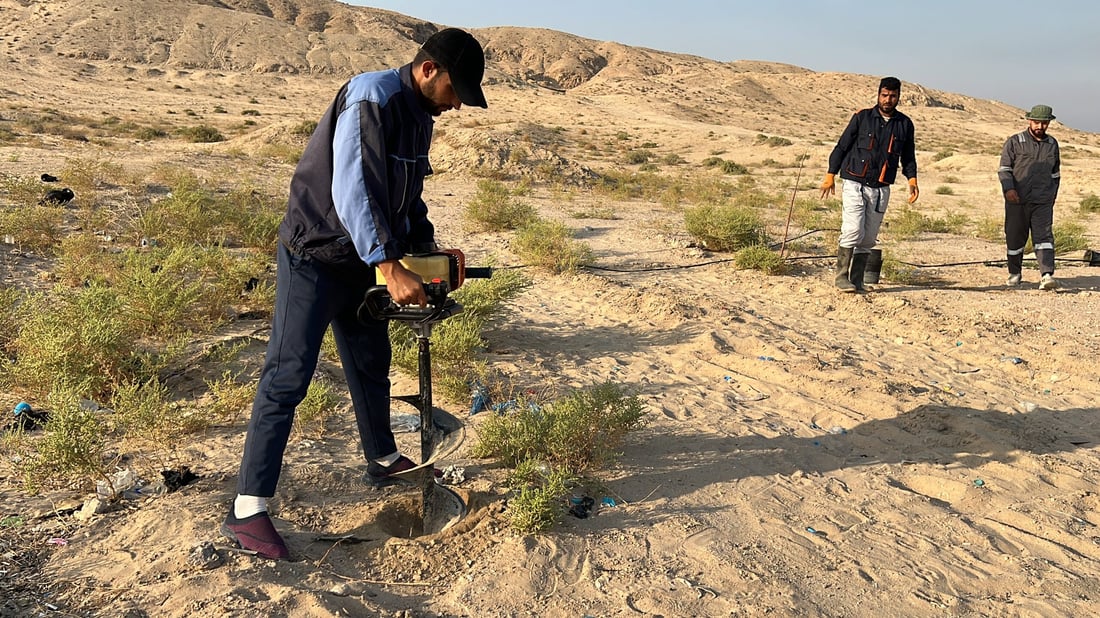 فيديو: سفوان تطوق جبل سنام بـ5 آلاف شجرة من شوك الشام
