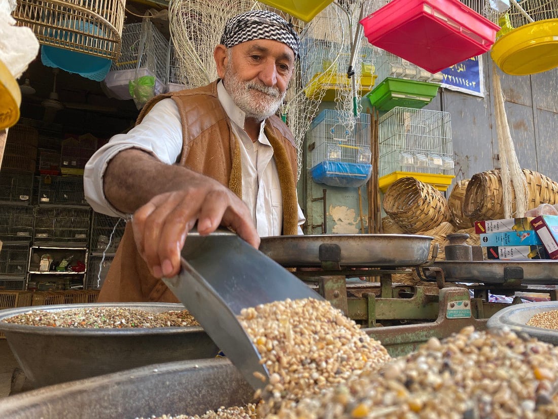 ملتقى “الجنّاية” منذ الخمسينيات.. جولة صورية داخل أقدم سوق للطيور في ميسان