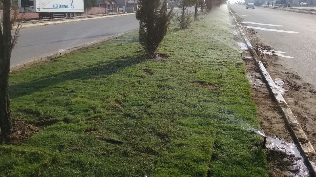 صور: بلدية آلتون كوبري طردت الكلاب السائبة من الجزرة وفرشت “الثيل”