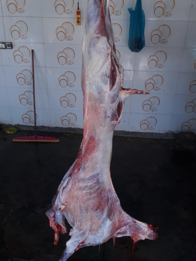 سێ دوکانی گۆشتفرۆشتن لە ناحیەی شۆڕش داخران