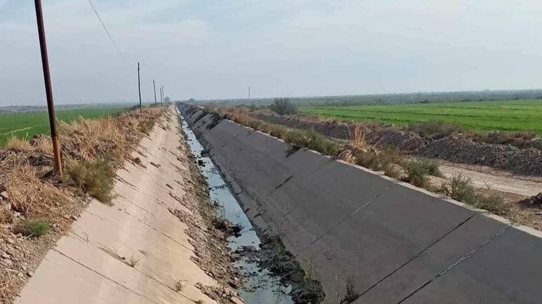 ليس لدينا وقت فالحنطة في خطر ونحتاج الرية الثانية فوراً.. نداءات من حقول جنوب واسط