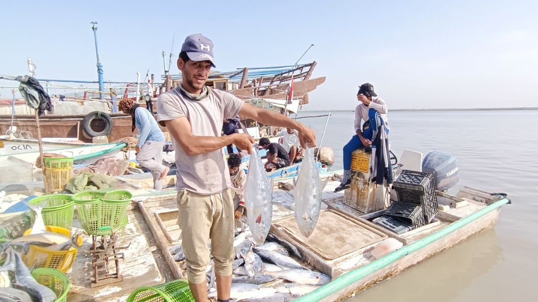 قائمة بأسعار السمك في مزاد النقعة الصباحي اليوم الاثنين