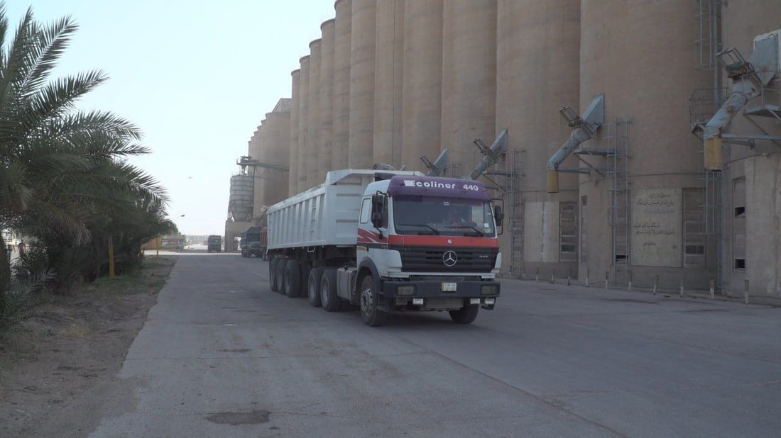 محصول الحنطة في بابل ارتفع 30%.. انتهى التسويق وتحقق الاكتفاء