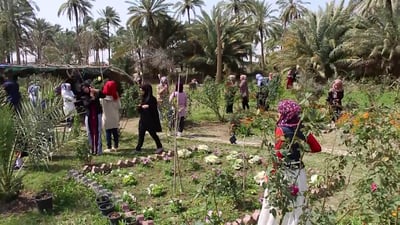 مهاجر يعود الى السماوة ويحول بستان العائلة الى متنزه للشواء والاستراحة العامة