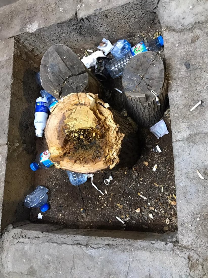 چایچییەک بۆ کەپر دوو داری تەمەن 10 ساڵ دەبرێتەوە