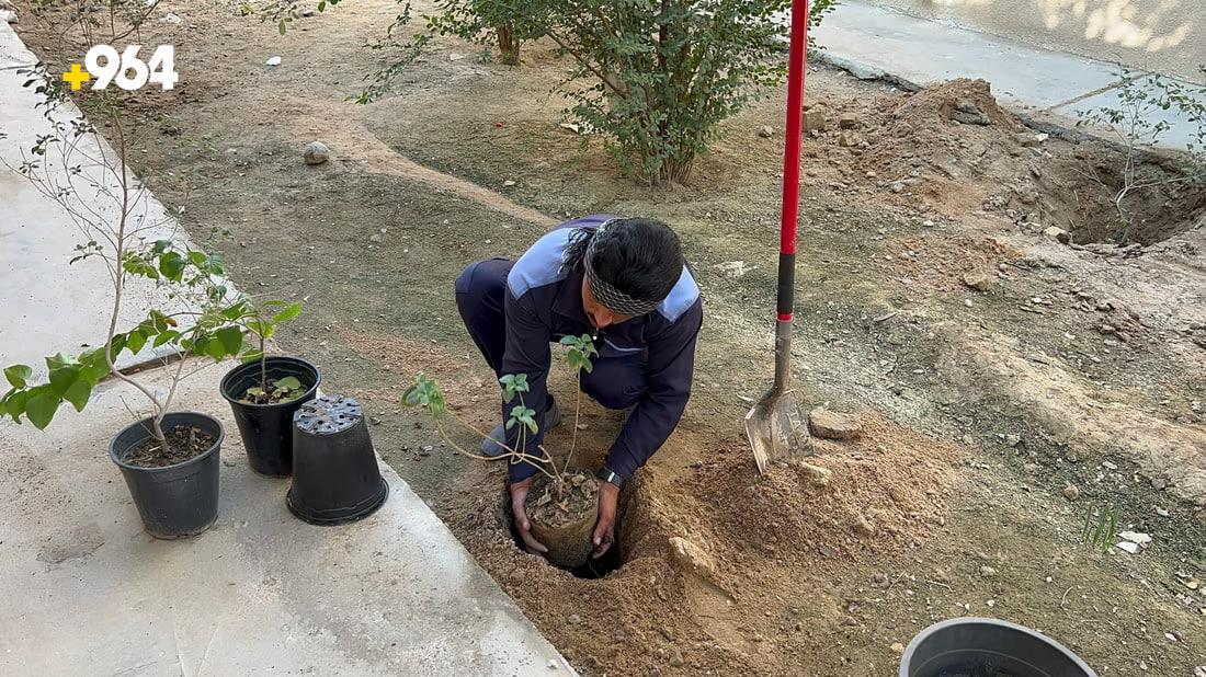 Safwan municipality plants 1000 seedlings in schools for ‘Green Cell’ project