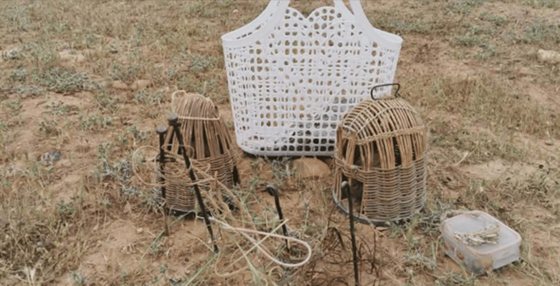 لە چەمچەماڵ دوو راوچی بە دوو سوێسکەوە دەستگیر کران