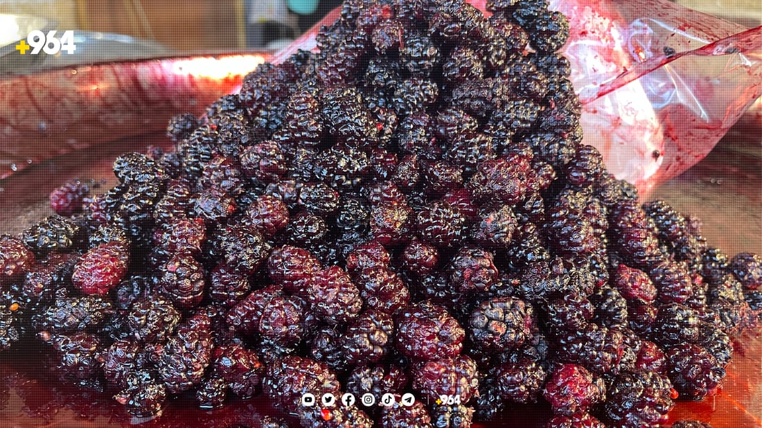 دوو هەفتەی دیكە شاتوو لە بازاڕدا نامێنێت