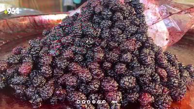 دوو هەفتەی دیكە شاتوو لە بازاڕدا نامێنێت