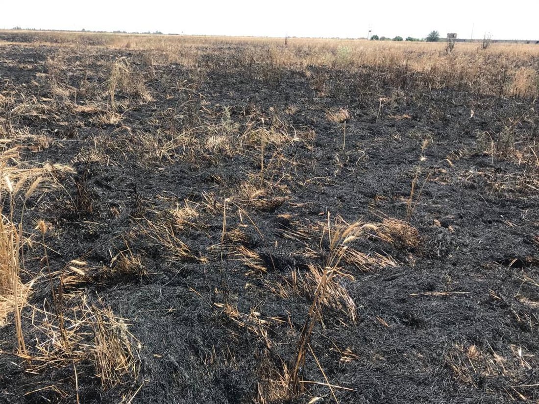 صور: داقوق تخمد 4 حرائق وتنقذ 10 آلاف دونم من محصول الحنطة