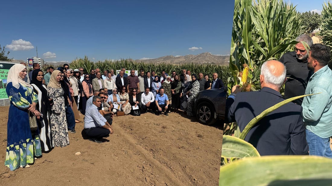زیاتر له‌ 40 جوتیاری دهۆك به‌شێوه‌ى مه‌یدانى فێری چاندنى گه‌نمه‌شامی كران