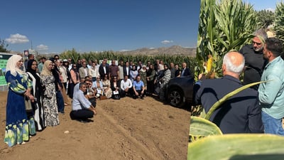 زیاتر له‌ 40 جوتیاری دهۆك به‌شێوه‌ى مه‌یدانى فێری چاندنى گه‌نمه‌شامی كران