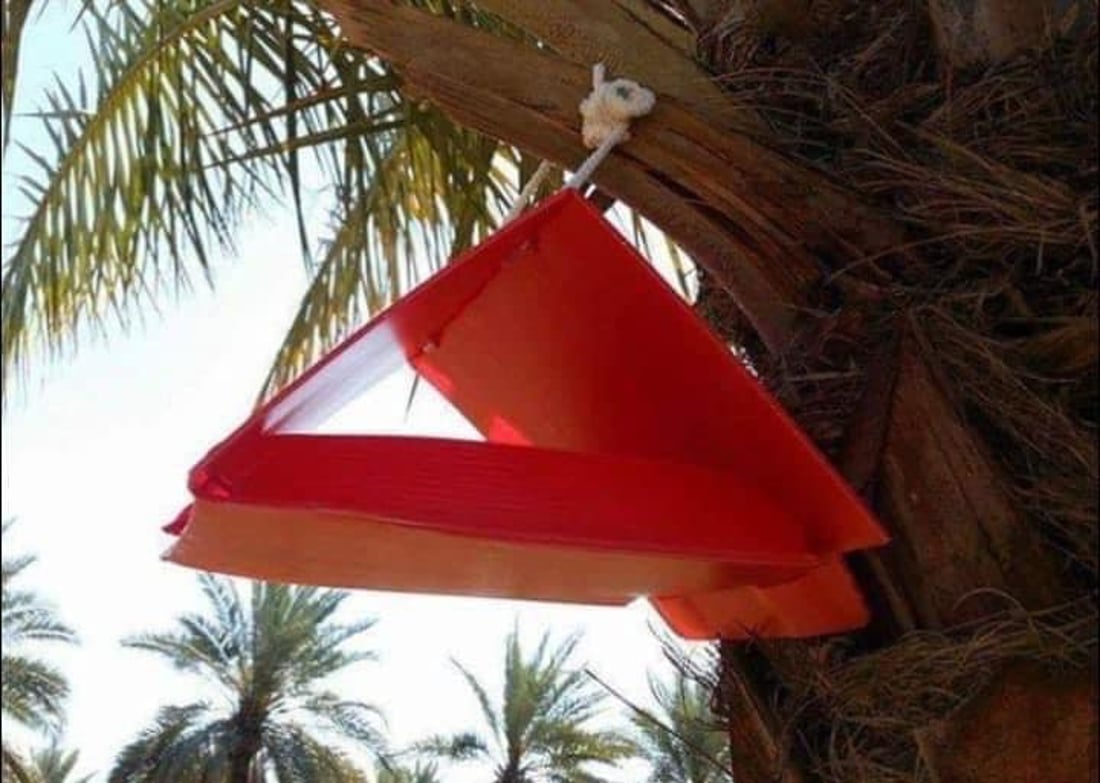 هيت تنصب مصائد “جاكسون” لحماية التمور.. مواجهة حاسمة مع الحميرة