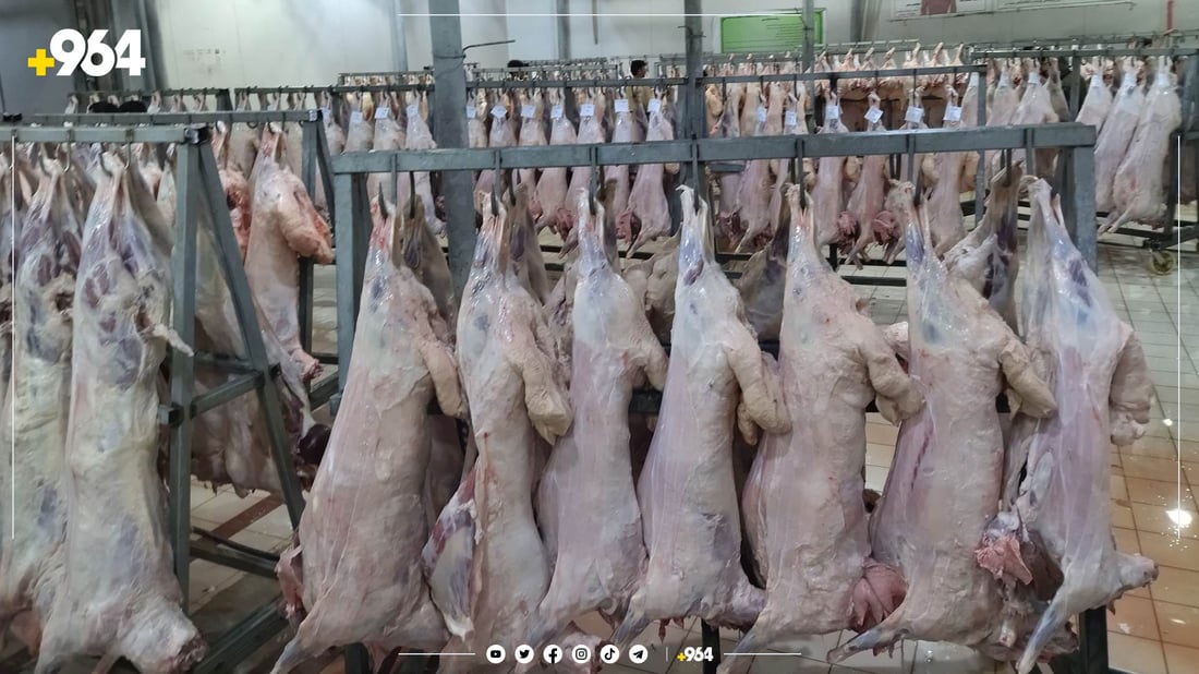 کوشتارگەی سلێمانی 80 تۆن گۆشتی رادەستی خاوەنەکانیان کردووەتەوە