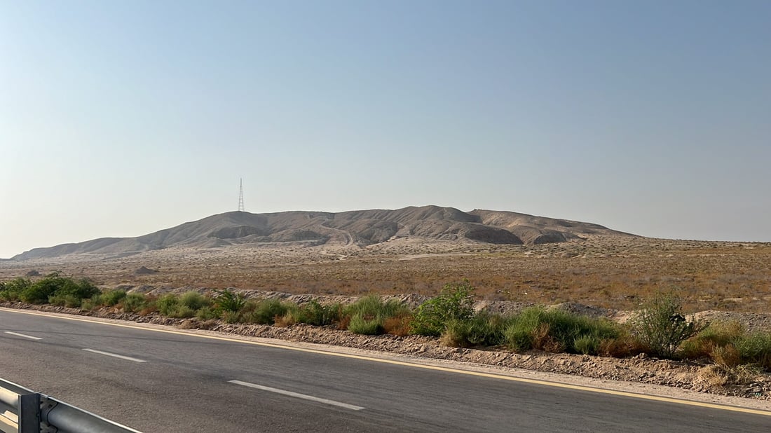 فيديو: سفوان تطوق جبل سنام بـ5 آلاف شجرة من شوك الشام