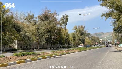 شێرپەنجە کەوتووەتە گیانی دارەکانی پارکی ئازادی