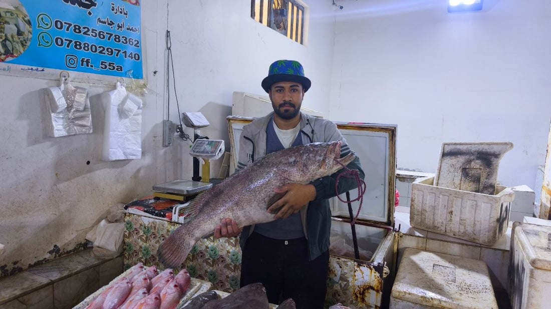 “هامور وشانگ وروبيان”.. وصول 22 طن أسماك إلى النقعة (صور)