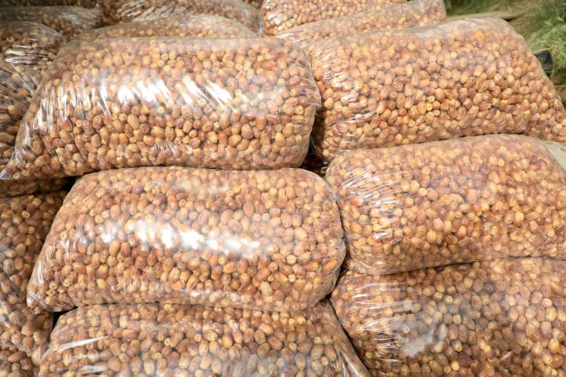 سوەیرە؛ پایتەختى خورماى عێراق