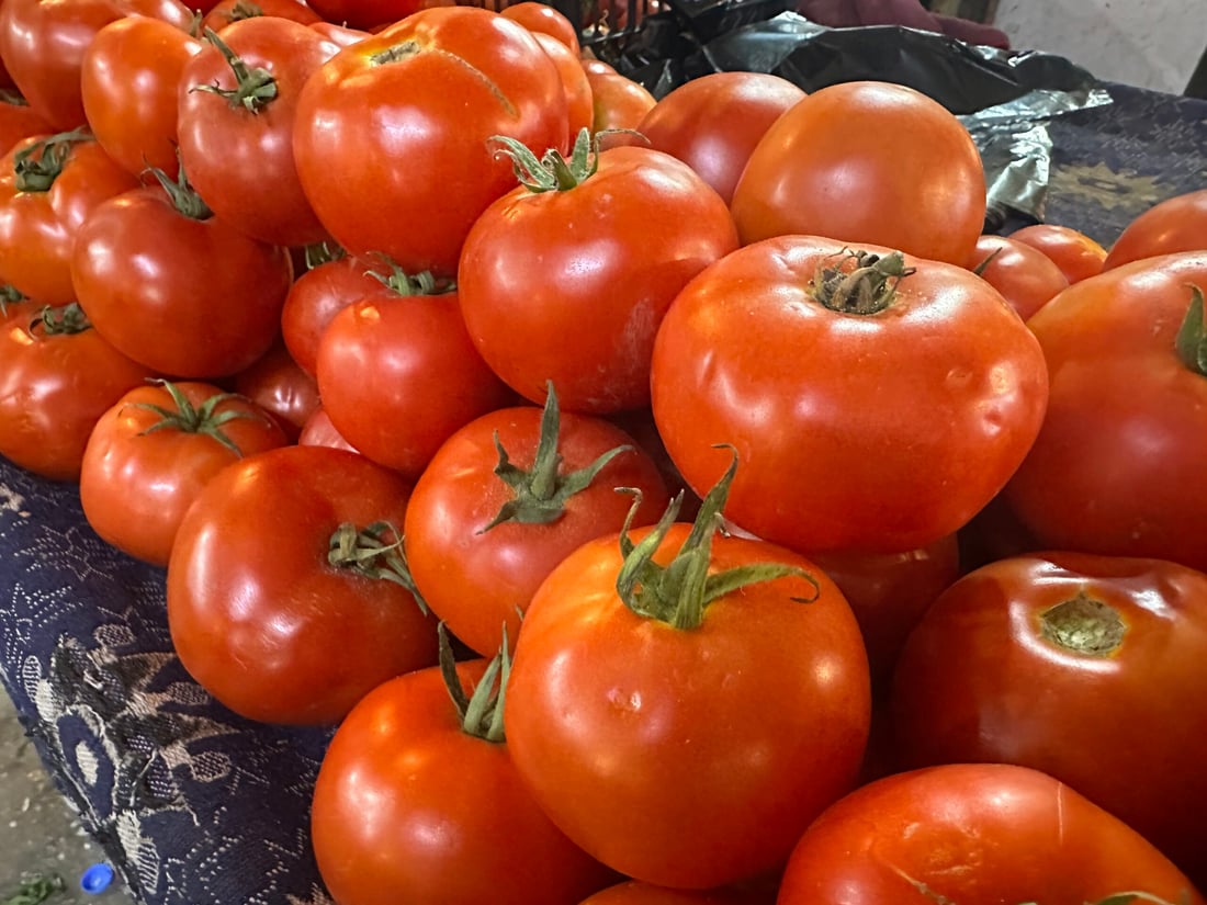 تەماتە لە زاخۆ گران بوو