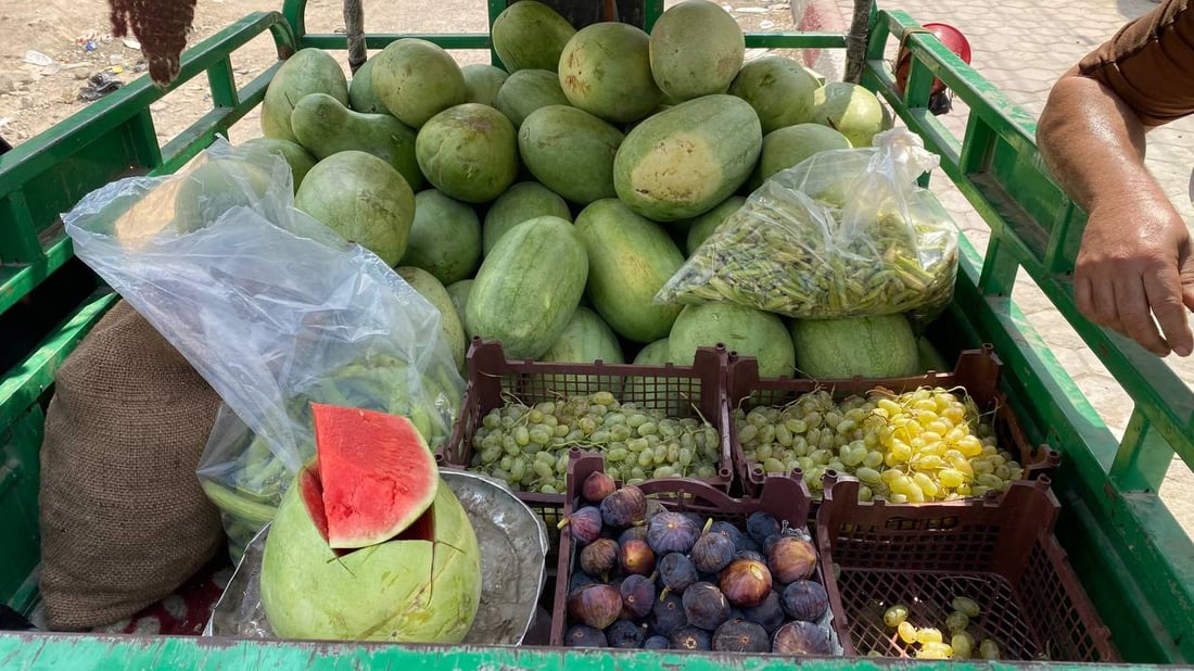 كم تربح؟.. دردشة مع “أبو ستوتة” خضار في البصرة: سيأتينا الريحان مبرداً من أربيل