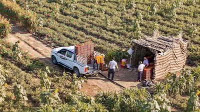 “ده‌ست به‌ئاوەوە بگرن و ته‌ماته‌ و خيار له‌به‌ر ده‌رگاكانتان مه‌چێنن”