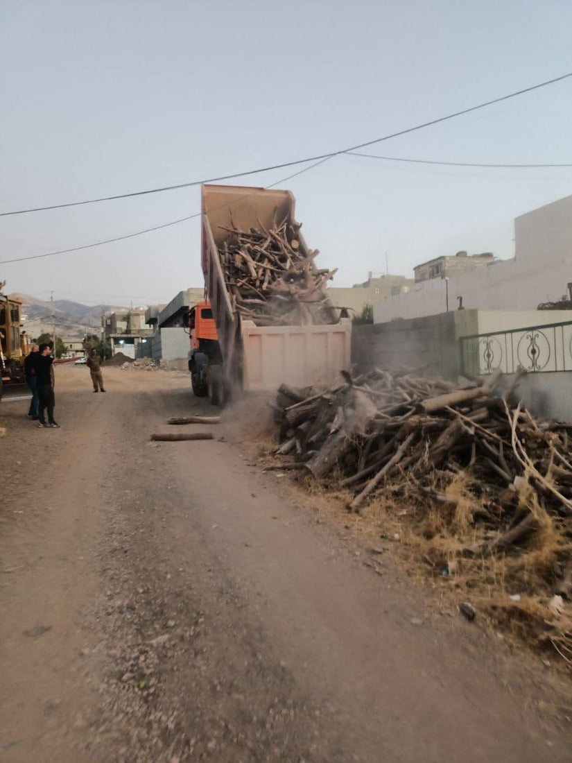 دوو گەڵابە و دووتەنییەک داری سروشتی بڕییەوە؛ دەستگیر کرا