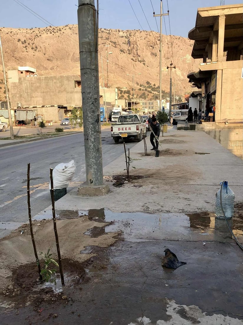 نەمامەکانی بوون بە دار و شۆستە و شەقامەکانی دەربەندیخانیان ئاوەدان کردەوە