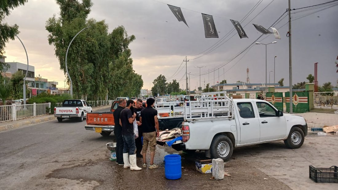 عاد السمك إلى آلتون كوبري والكيلو 5 آلاف.. شباك “قية باشي” وسط الزاب