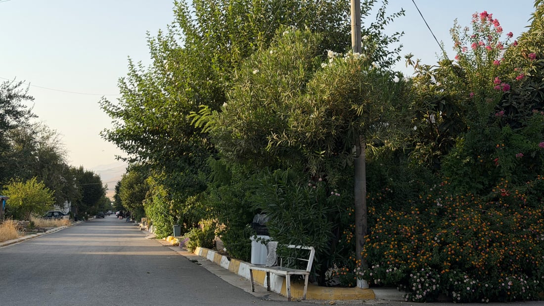 Dalani residents plant trees, flowers to green their Khurmal neighborhood
