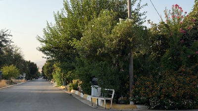 Dalani residents plant trees, flowers to green their Khurmal neighborhood