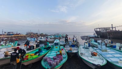 “ولمة” بياح في منتصف كانون الأول.. الميد أفضل من الفگتوري في الشواء (صور)