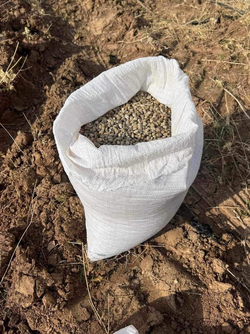 جوتیاره‌كه‌ى كرپچنه‌ بۆ یه‌كه‌مجار “كه‌نگر”ى ‌چاند