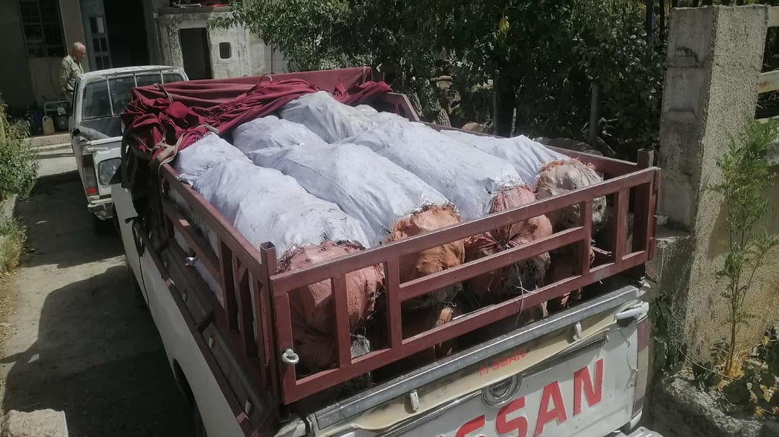 دوو پیکاب بە 52 فەردە خەڵوزەوە گیران
