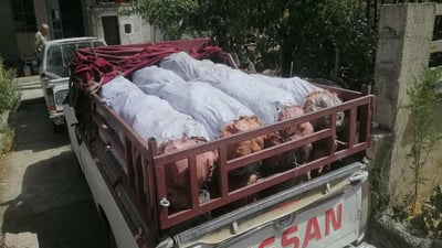 دوو پیکاب بە 52 فەردە خەڵوزەوە گیران